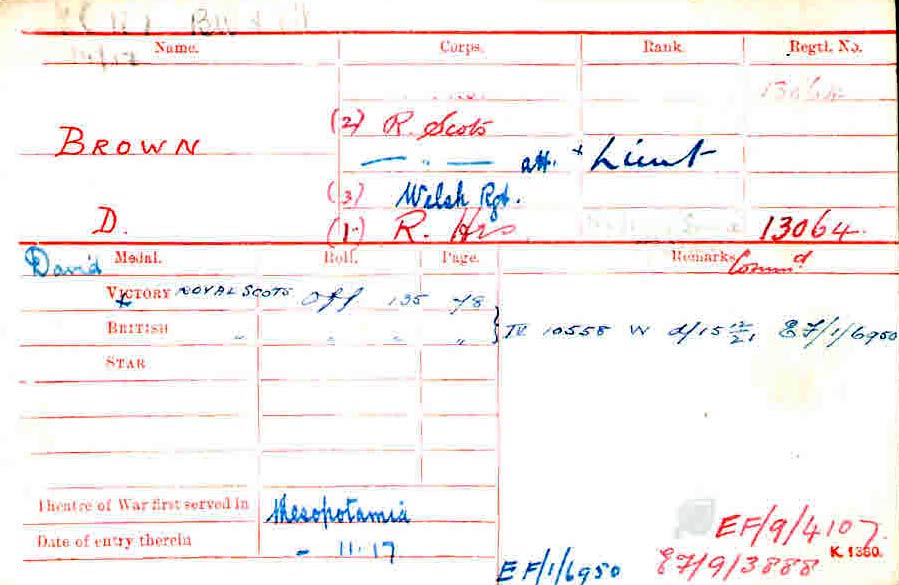brown medal card